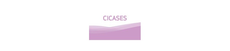 CICASES WH 